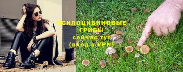амф Абинск
