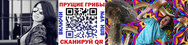 Псилоцибиновые грибы Magic Shrooms  даркнет сайт  Ефремов 